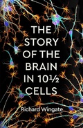 Abbildung von: The Story of the Brain in 101/2 Cells - Wellcome Collection