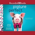 Cover: Pigture Perfect - Recorded Books, Inc.