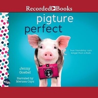 Enlarge image Cover: Pigture Perfect - Recorded Books, Inc.