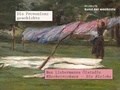 Cover: Max Liebermanns &Ouml;lstudie W&auml;schetrocknen - Die Bleiche. Die Provenienzgeschichte - Museum Kunst der Westk&uuml;ste