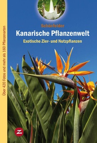 Abbildung von: Kanarische Pflanzenwelt - Zech Verlag