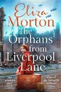 Cover: The Orphans from Liverpool Lane - Macmillan