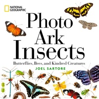Abbildung von: National Geographic Photo Ark Insects - National Geographic Society