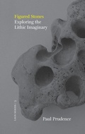Cover: Figured Stones - Xylem Books