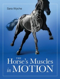 Abbildung von: Horse's Muscles in Motion - The Crowood Press Ltd