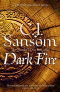 Cover: Dark Fire - Pan Books