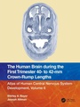 Cover: The Human Brain during the First Trimester 40- to 42-mm Crown-Rump Lengths - CRC Press