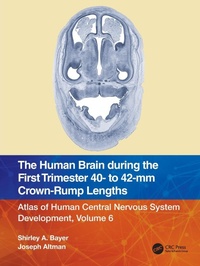 Abbildung von: The Human Brain during the First Trimester 40- to 42-mm Crown-Rump Lengths - CRC Press