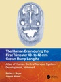 Cover: The Human Brain during the First Trimester 40- to 42-mm Crown-Rump Lengths - CRC Press