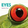 Cover: Eyes - Flowerpot Press