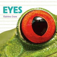Enlarge image Cover: Eyes - Flowerpot Press