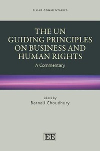 Enlarge image Cover: The UN Guiding Principles on Business and Human Rights - Edward Elgar Publishing