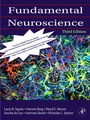 Cover: Fundamental Neuroscience - Academic Press