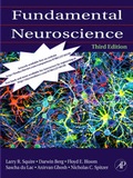 Cover: Fundamental Neuroscience - Academic Press