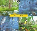Cover: Dia i nit - Editorial Juventud, S.A.