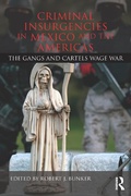 Bild: Criminal Insurgencies in Mexico and the Americas - Routledge