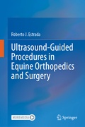 Bild: Ultrasound-Guided Procedures in Equine Orthopedics and Surgery - Springer