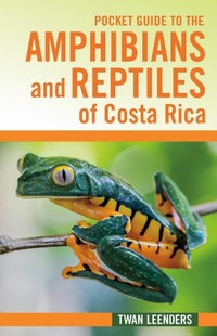 Abbildung von: Pocket Guide to the Amphibians and Reptiles of Costa Rica - Comstock Publishing Associates