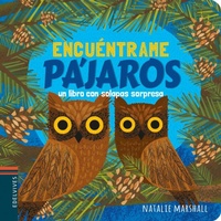 Enlarge image Cover: Pájaros - Editorial Luis Vives (Edelvives)