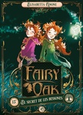 Cover: Fairy Oak : la hist&ograve;ria perduda - Duomo ediciones