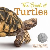 Enlarge image Cover: The Book of Turtles - Clarion Books