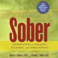 Cover: Get Your Loved One Sober - Dreamscape Media