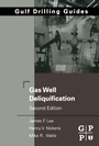 Cover: Gas Well Deliquification - Gulf Professional Publishing