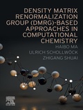 Bild: Density Matrix Renormalization Group (DMRG)-based Approaches in Computational Chemistry - Elsevier