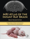 Abbildung von: MRI Atlas of the Infant Rat Brain - Academic Press