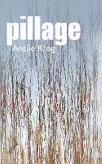 Enlarge image Cover: Pillage - Human & Rousseau (Pty) Ltd