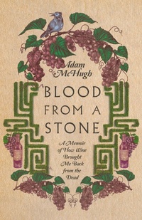 Enlarge image Cover: Blood From a Stone - IVP