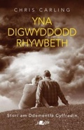 Cover: Yna Digwyddodd Rhywbeth - Stori am Ddementia Cyffredin - Y Lolfa