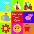 Cover: Cyfres Cyw: Geiriau Cyntaf Cyw - Y Lolfa
