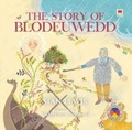 Cover: The Story of Blodeuwedd - Rily Publications Ltd