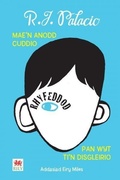 Cover: Rhyfeddod - Rily Publications Ltd