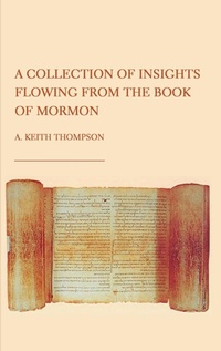 Enlarge image Cover: A Collection of Insights Flowing from The Book of Mormon - Ethics International Press Ltd
