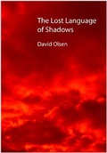 Cover: The Lost Language of Shadows - Dempsey & Windle