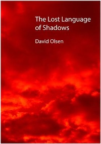 Enlarge image Cover: The Lost Language of Shadows - Dempsey & Windle