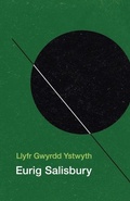 Cover: Llyfr Gwyrdd Ystwyth - Cyhoeddiadau Barddas
