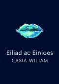 Cover: Tonfedd Heddiw: Eiliad ac Einioes - Cyhoeddiadau Barddas