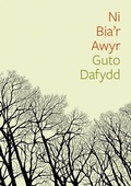 Cover: Cyfres Tonfedd Heddiw: Ni Bia'r Awyr - Cyhoeddiadau Barddas