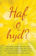 Cover: Haf o Hyd? - Gwasg y Bwthyn