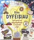Cover: Stori Dyfeisiau - Rily Publications Ltd