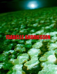 Enlarge image Cover: DORM - Mousse Publishing