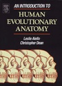 Cover: An Introduction to Human Evolutionary Anatomy - Elsevier