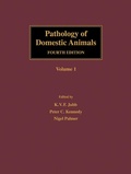 Bild: Pathology of Domestic Animals - Academic Press