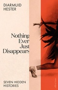 Cover: Nothing Ever Just Disappears - Allen Lane