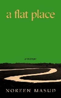 Enlarge image Cover: A Flat Place - Hamish Hamilton Ltd