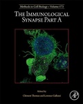 Cover: The Immunological Synapse Part A: Volume 173 - Academic Press