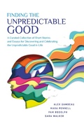 Cover: Finding the Unpredictable Good - BOOKBABY